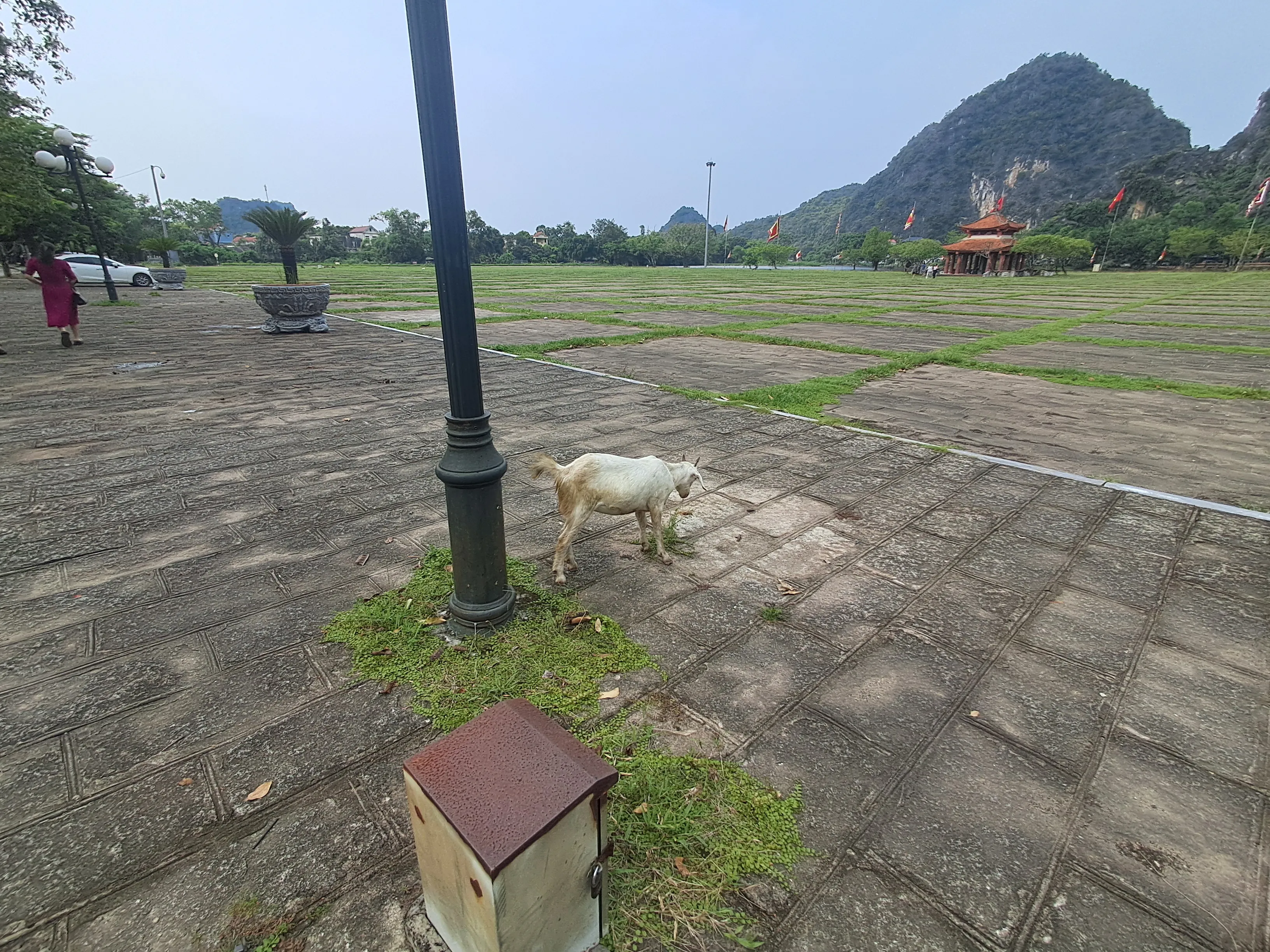 Khung cảnh yên bình ở Hoa Lư