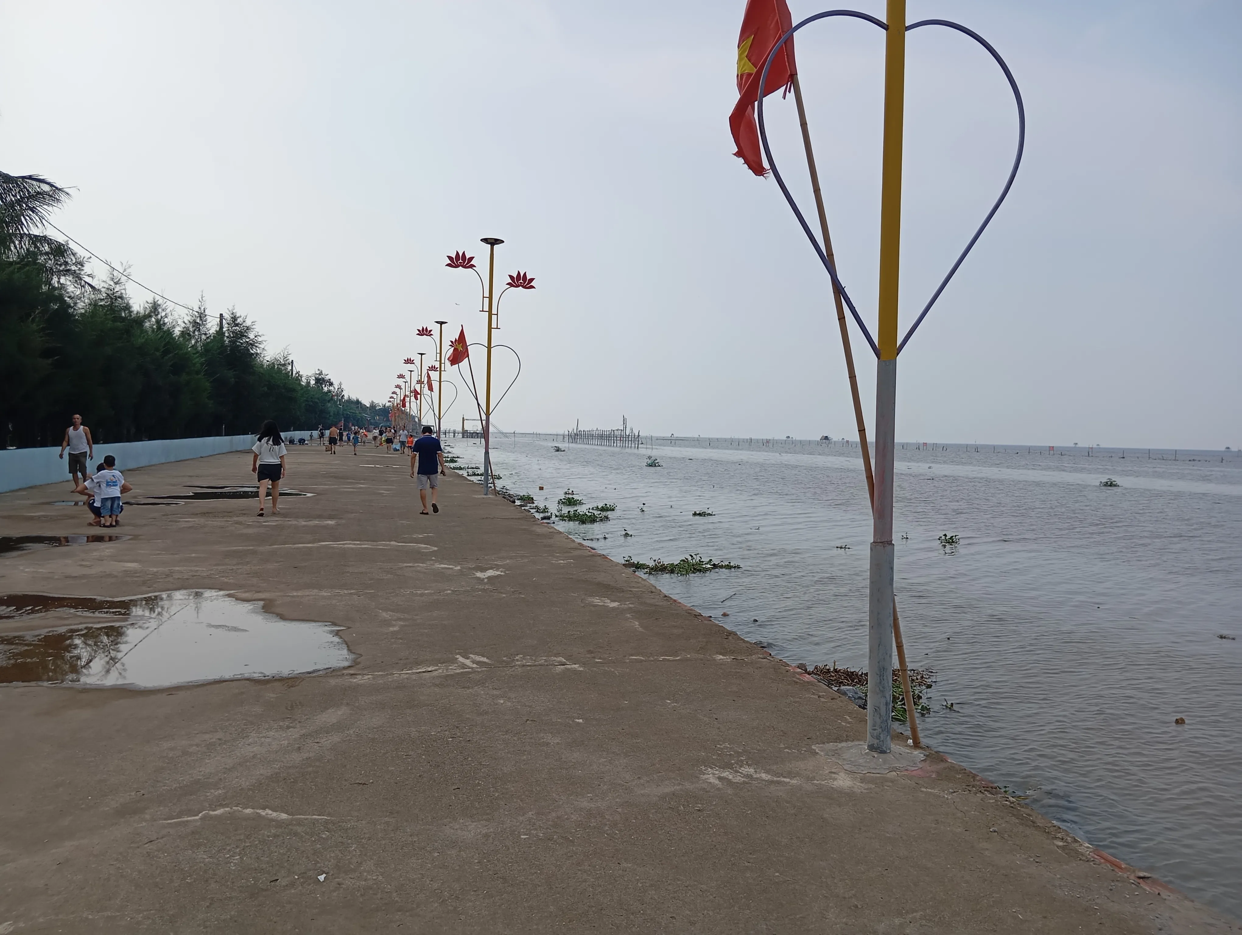 Con đường ven biển Cồn Đen
