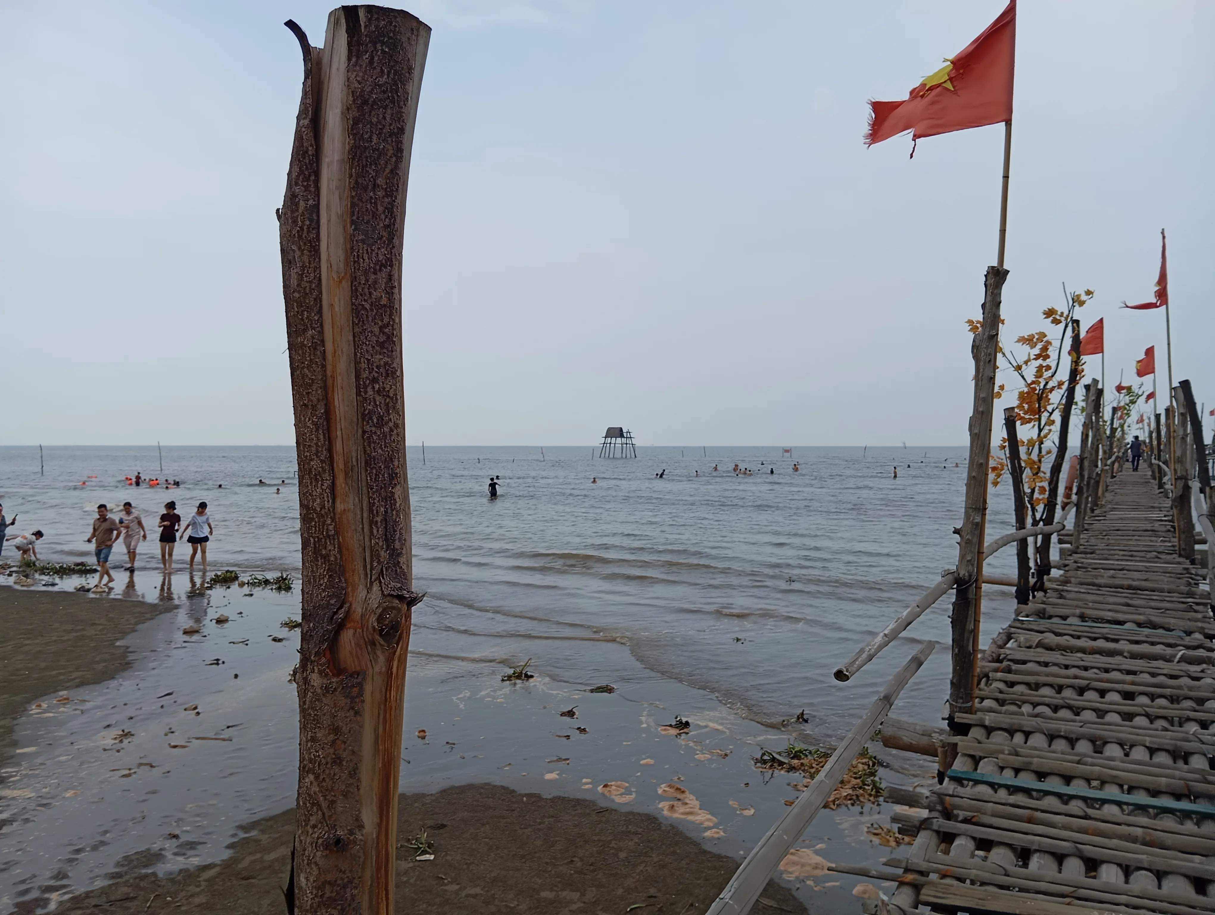 Cầu tre hướng ra biển