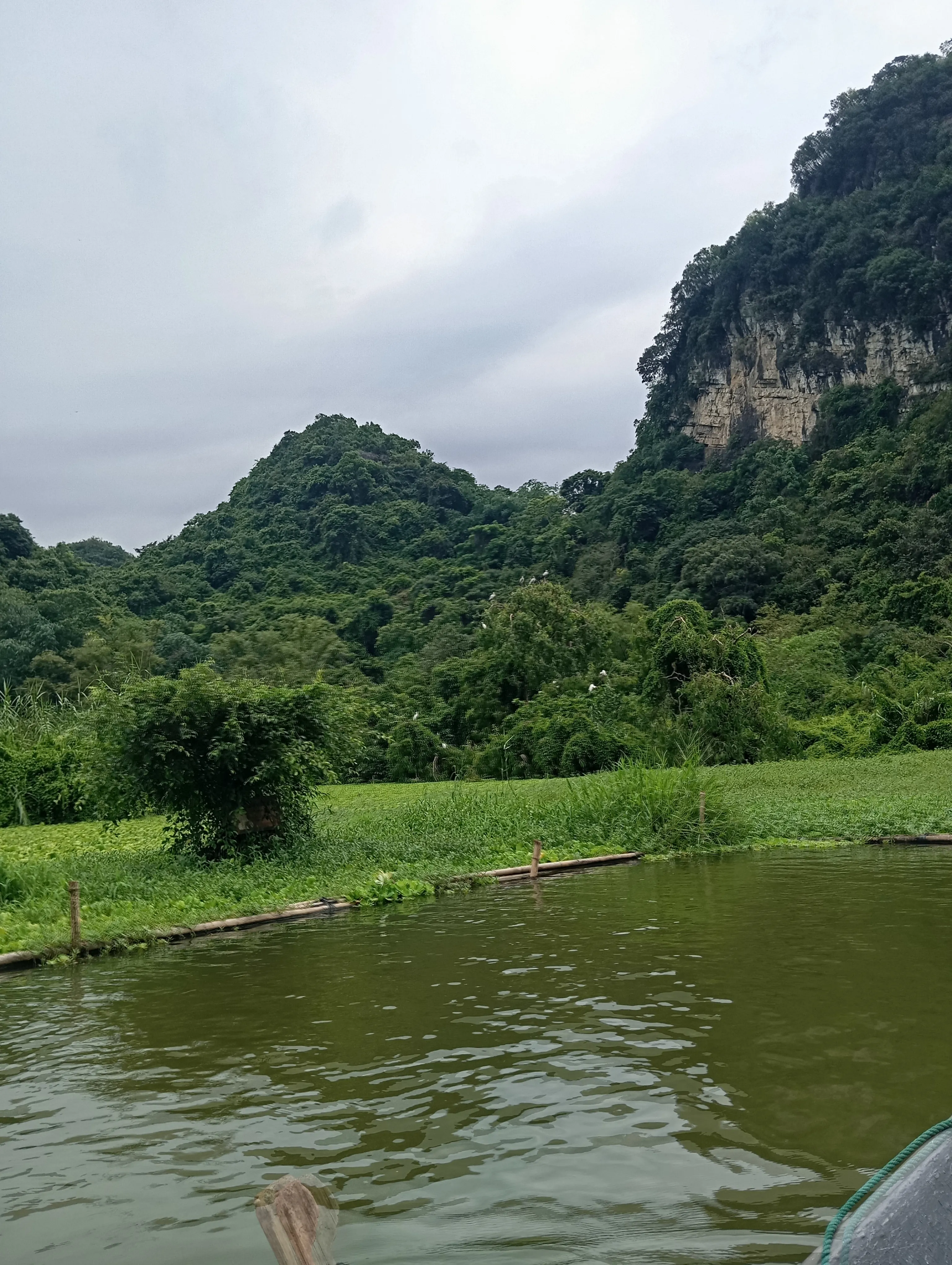 Ngồi thuyền ngắm chim tại Thung Nham