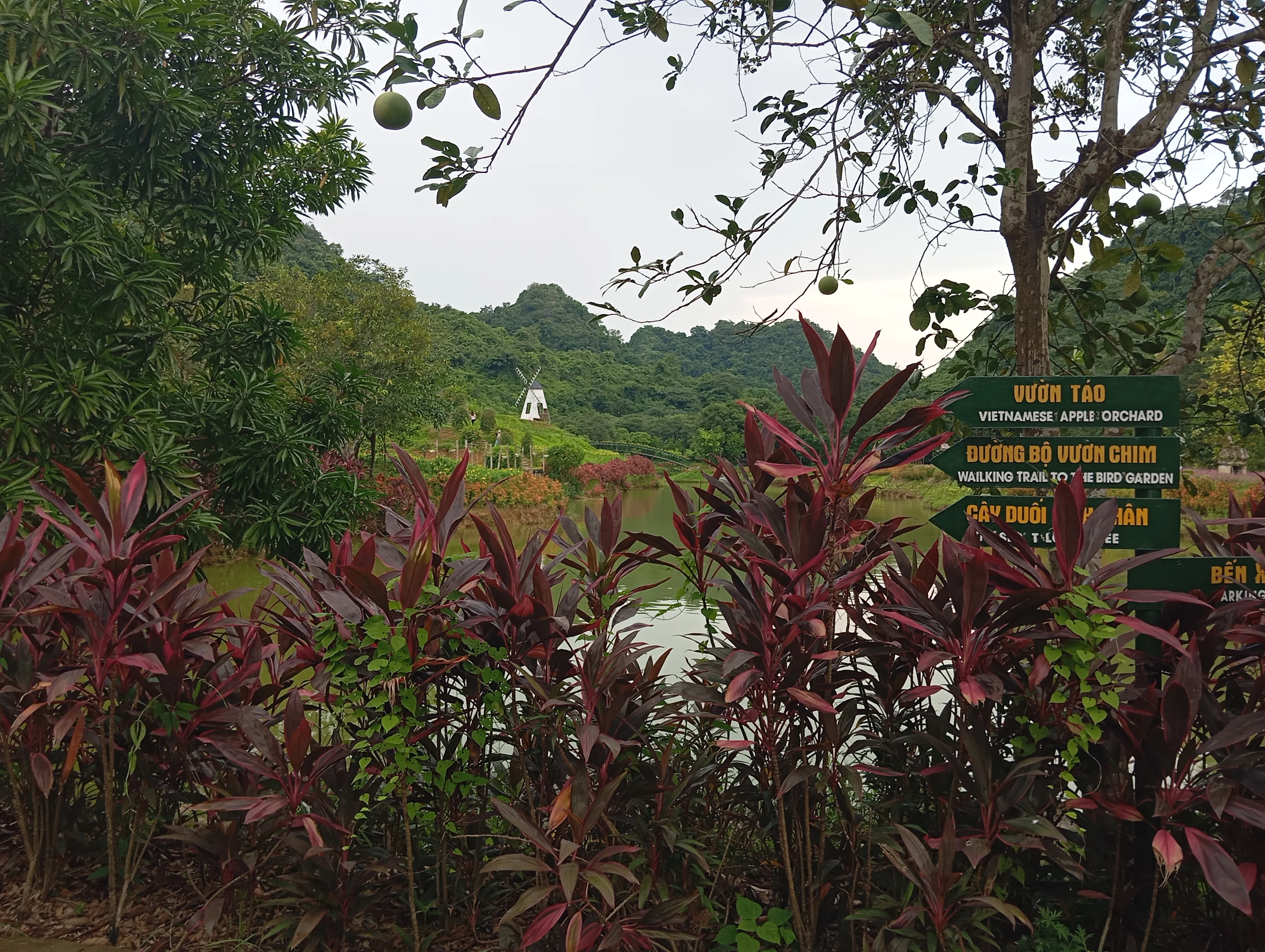 Phong cảnh non nước hữu tình