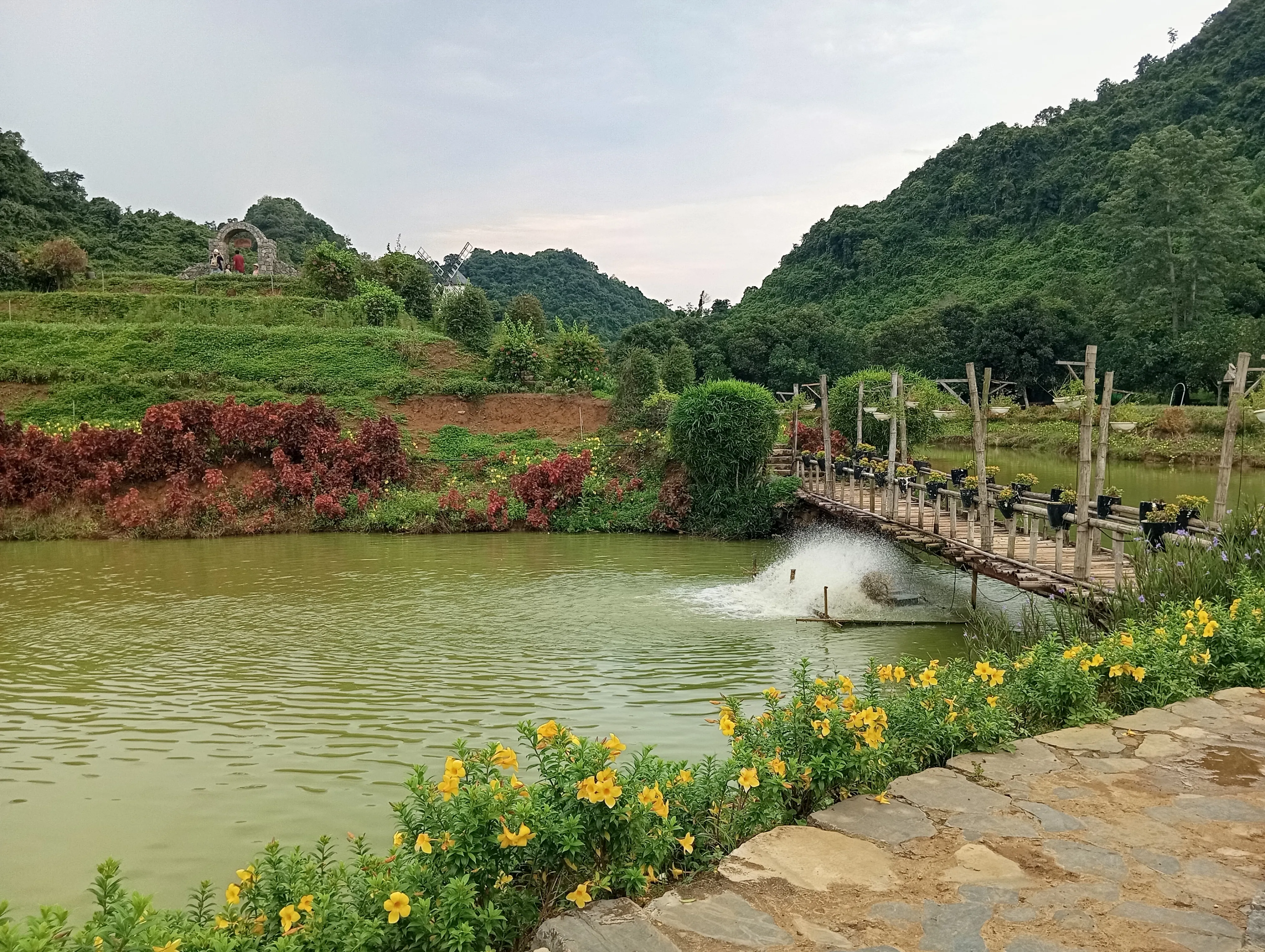 Thiên nhiên xanh mát tại Thung Nham