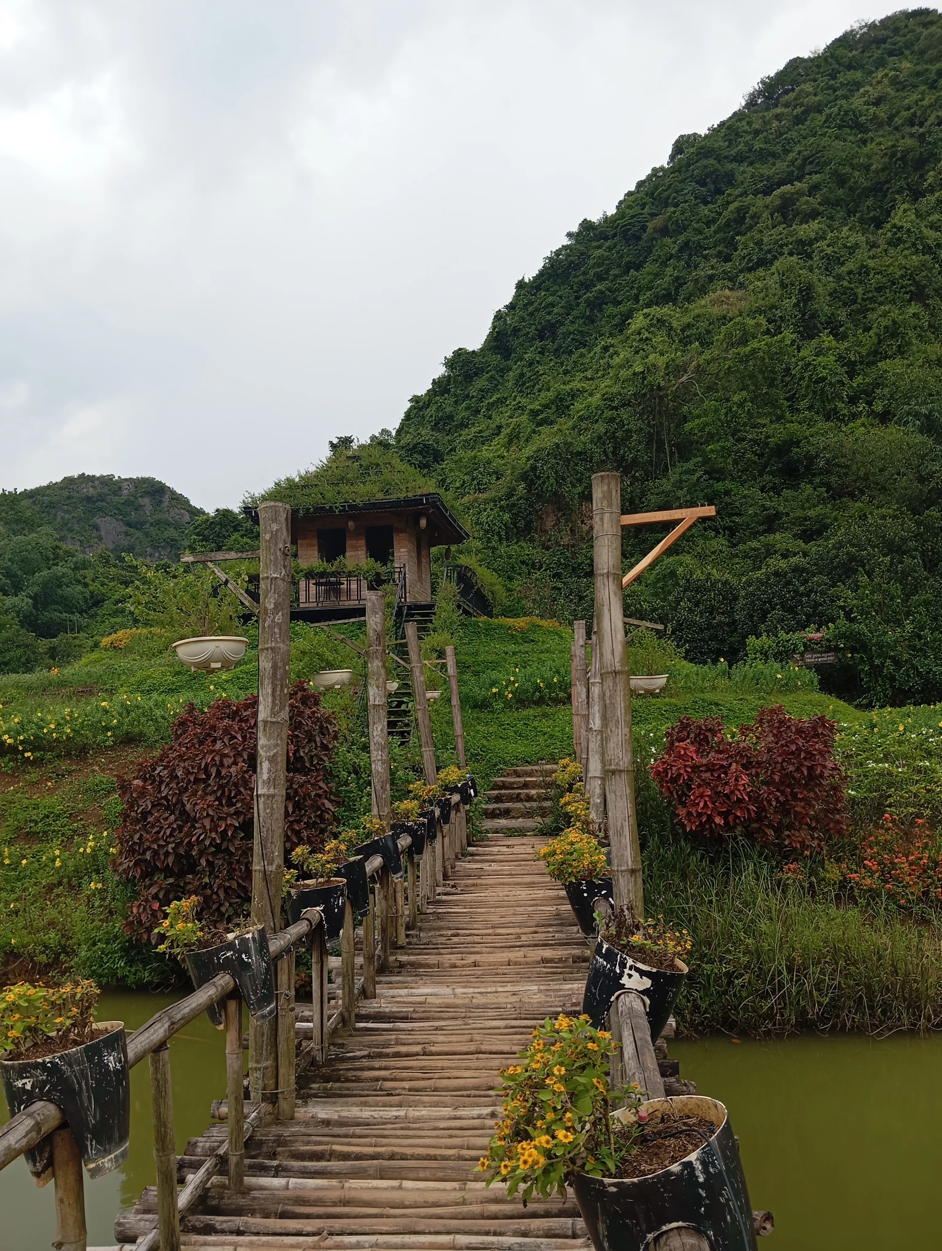Ngôi nhà nhỏ giữa thiên nhiên